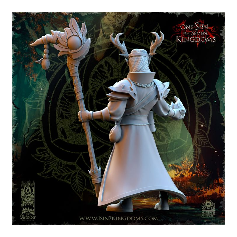 Evergreen Elves - Findlas, Protecteur des Bois  