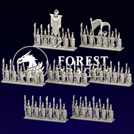 Hauts elfes - Lanciers  