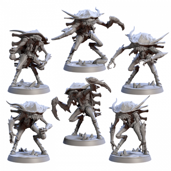 Artisan Guild - Alyssa - Priestess of Holmuran 