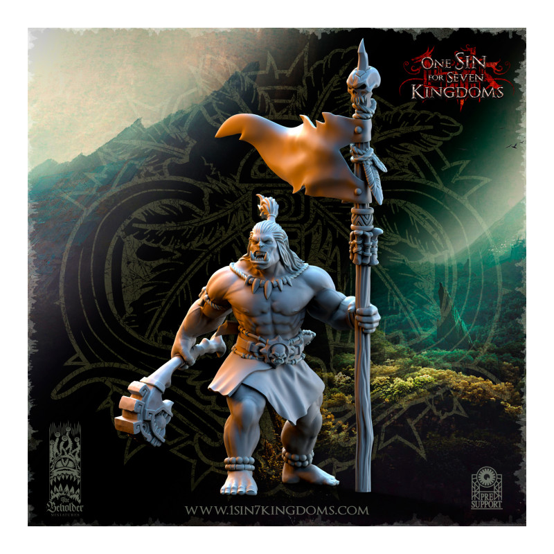 Salanaar - Orcs Guerriers    