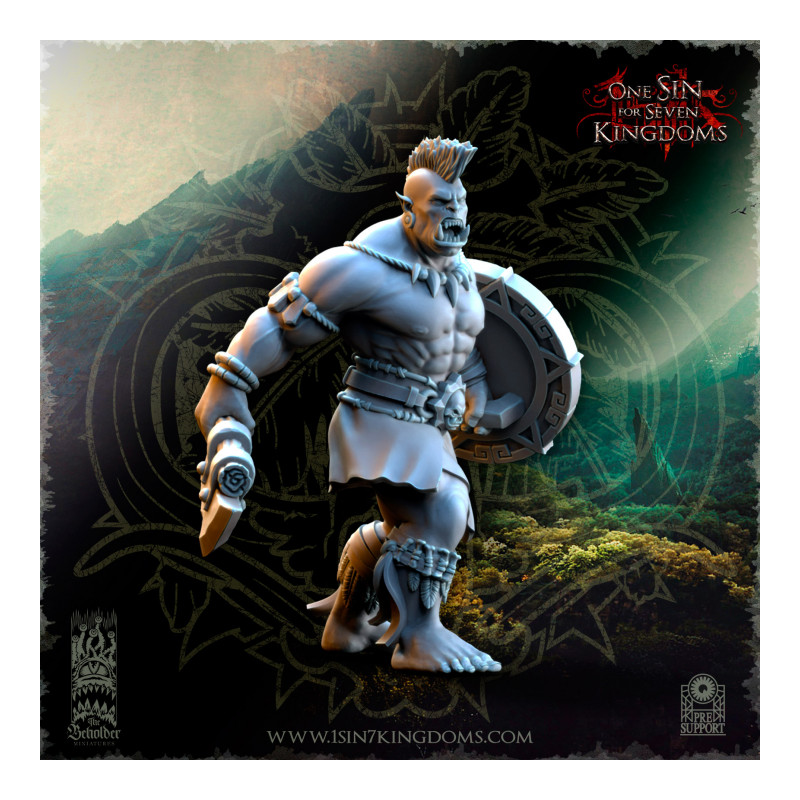 Salanaar - Orcs Guerriers    