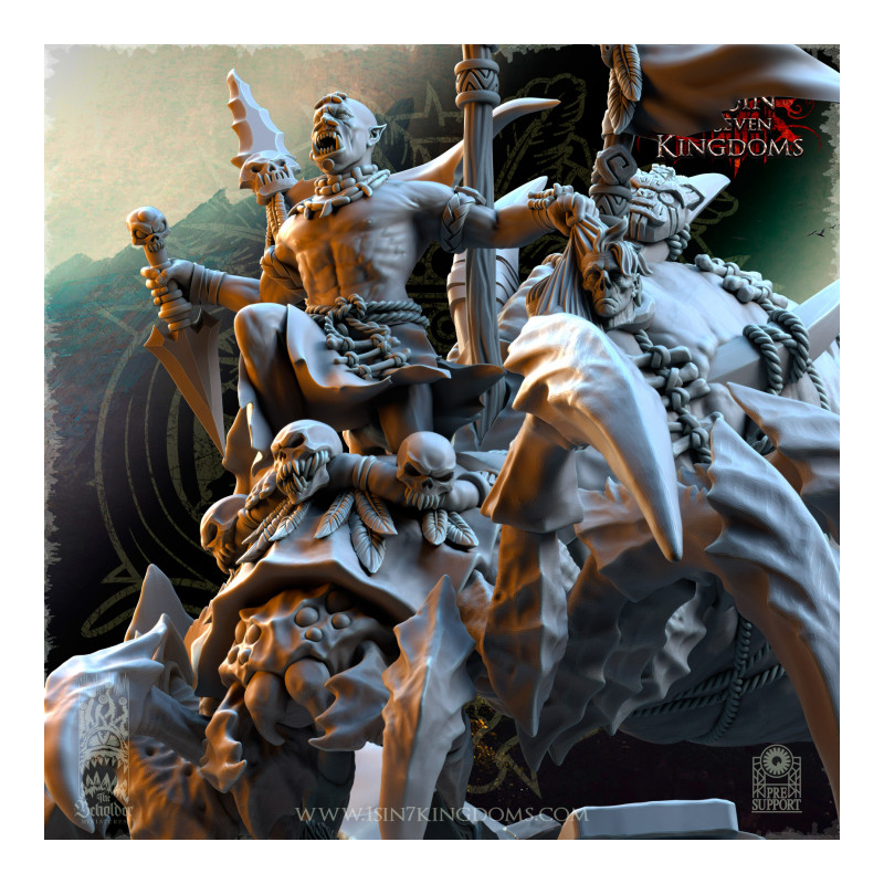 Salanaar – Orcs chaman sur araignée  