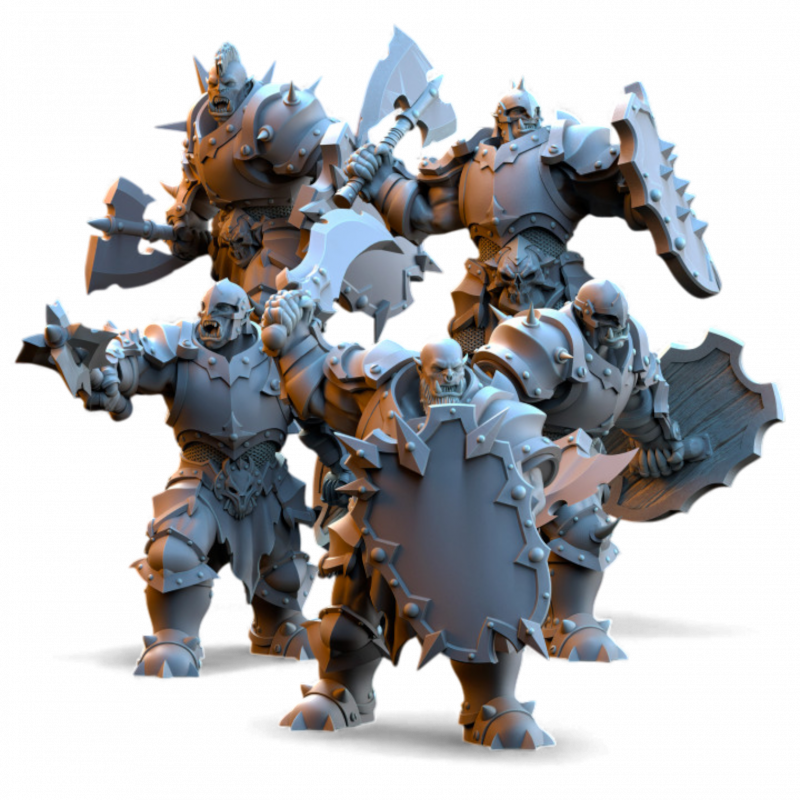 Salanaar - Orcs Guerriers    