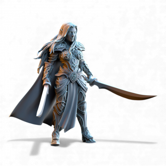 Hauts Elfes Silvermoor - Capitaine Lyriel  