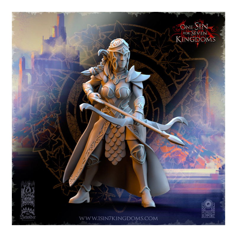 Hauts Elfes Silvermoor – Archères de la Sororité  