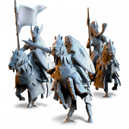 Hauts Elfes Silvermoor - Chevaliers Dragonniers   