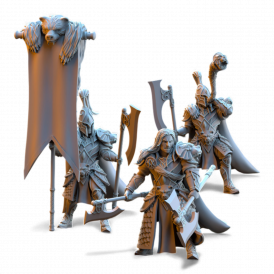 Hauts Elfes Silvermoor – Garde des Ours    (2)