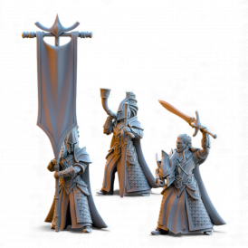 Hauts Elfes Silvermoor – Les Lames d’Ashur    (2)