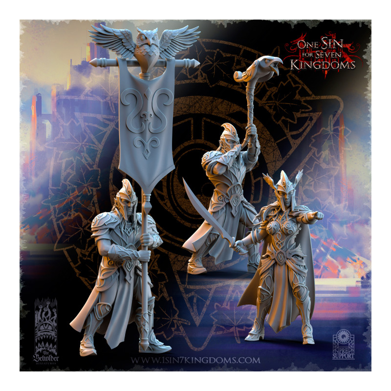 Hauts Elfes Silvermoor - Guerriers    