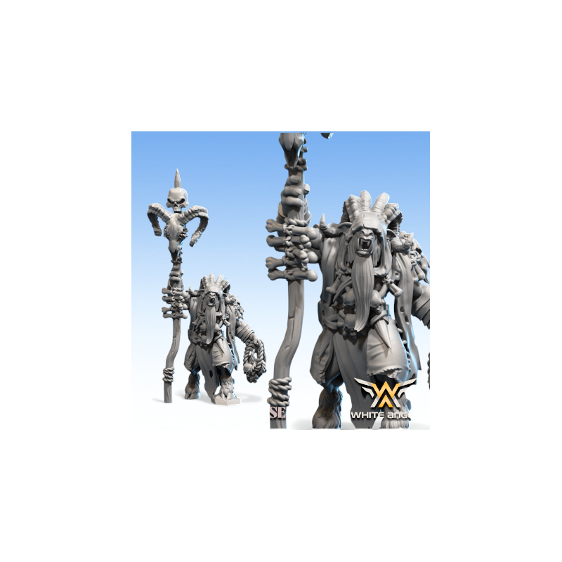 Beastmen - Chaman Suprême-Bête  