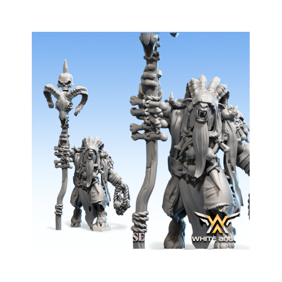 Beastmen - Chaman Suprême-Bête  