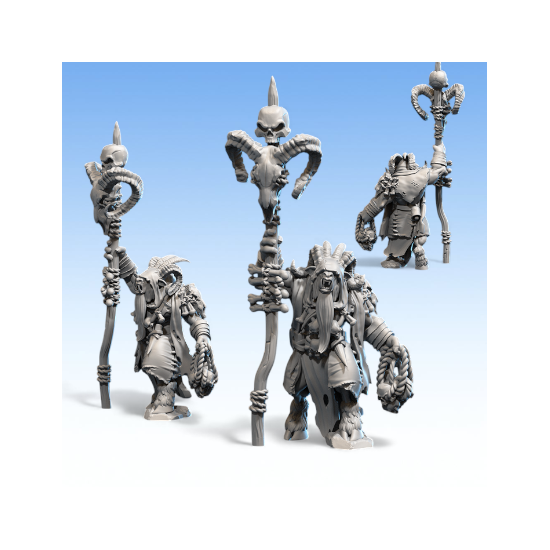 Beastmen - Chaman Suprême-Bête  