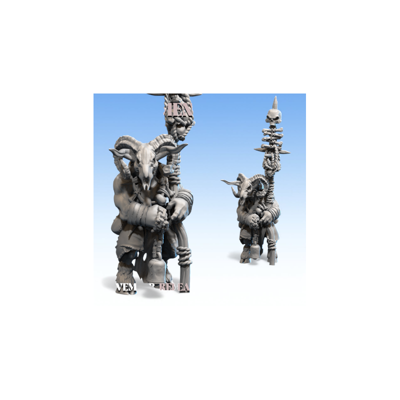 Beastmen - Grand Chaman-Bête  