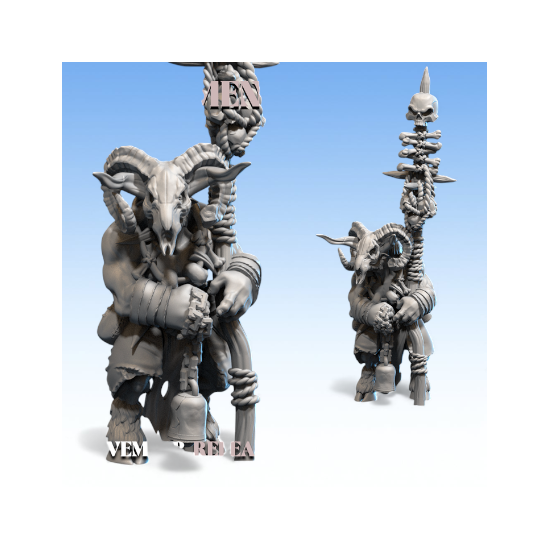 Beastmen - Grand Chaman-Bête  