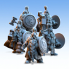 Dwarven Kingdoms – Guerriers Nobles    