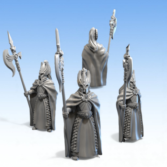 Hauts Elfes – Garde du Soleil 