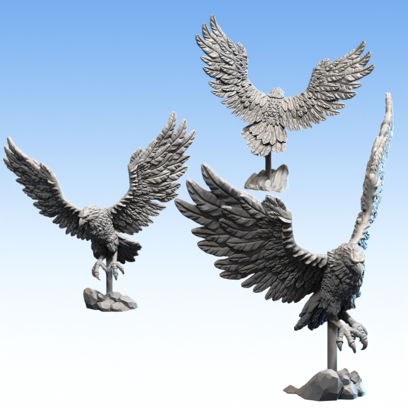 Hauts Elfes – Griffon 
