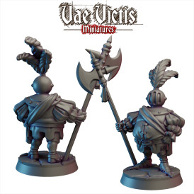 Vae Victis -  