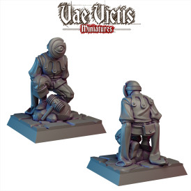 Vae Victis -  