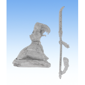 Pillage - Japon médiéval - Femme Samouraï 