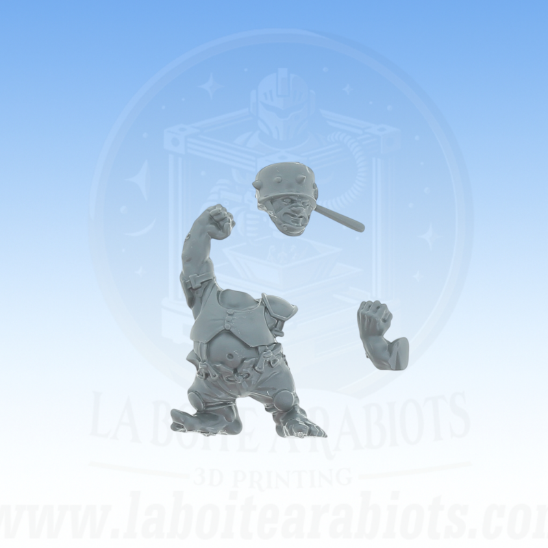 Blood Bowl - Equope Halfling Vente au détails -  Pièce 5 