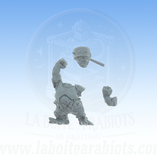 Blood Bowl - Equope Halfling Vente au détails -  Pièce 5 