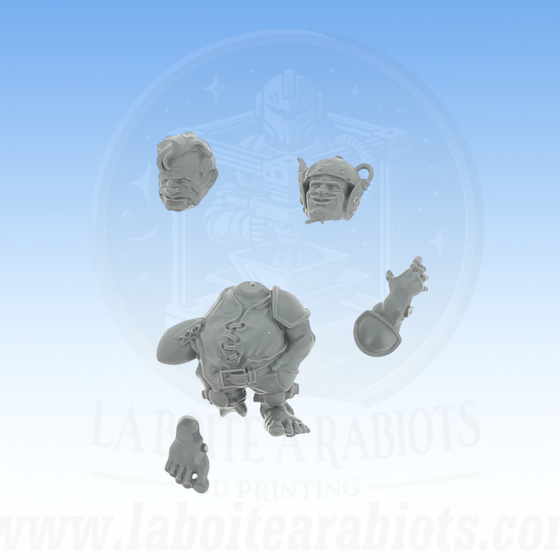 Blood Bowl - Equope Halfling Vente au détails -  Pièce 6 