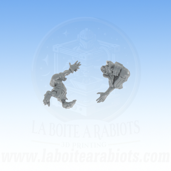 Blood Bowl - Snotlings: Crud Creek Nosepickers -  Pièce 1 