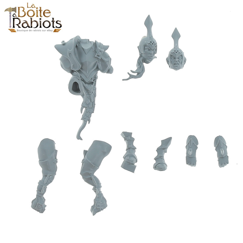 Blood Bowl - Elfes Noirs: Naggaroth Nightmares -  