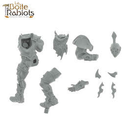 Blood Bowl - Elfes Noirs: Naggaroth Nightmares -  