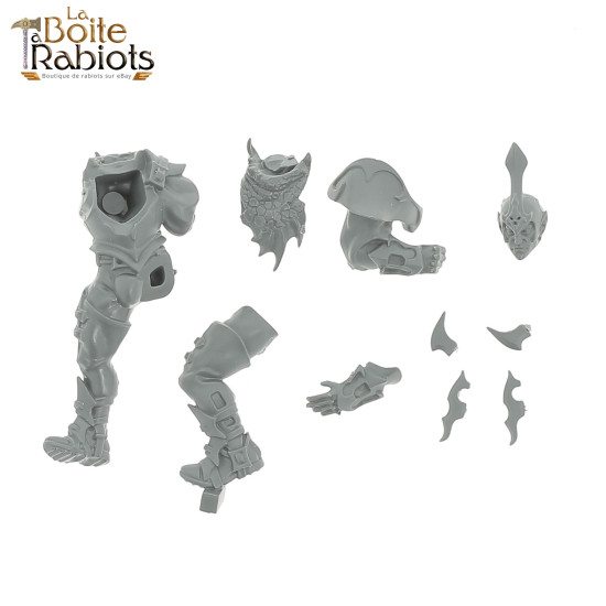 Blood Bowl - Elfes Noirs: Naggaroth Nightmares -  