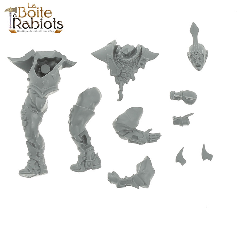 Blood Bowl - Elfes Noirs: Naggaroth Nightmares -  