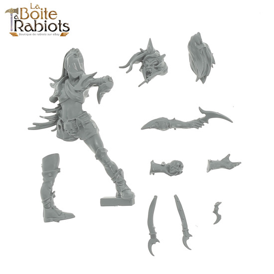 Blood Bowl - Elfes Noirs: Naggaroth Nightmares -  