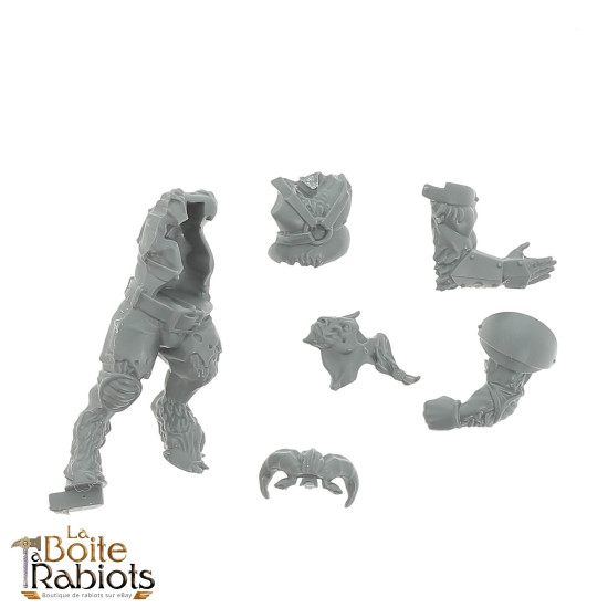 Blood Bowl - Chaos The doom Lords -  Pièce 4 