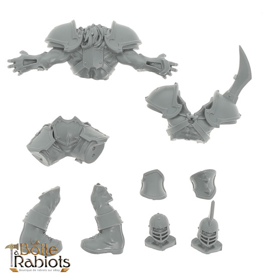 Blood Bowl - Chaos The doom Lords -  Pièce 6 