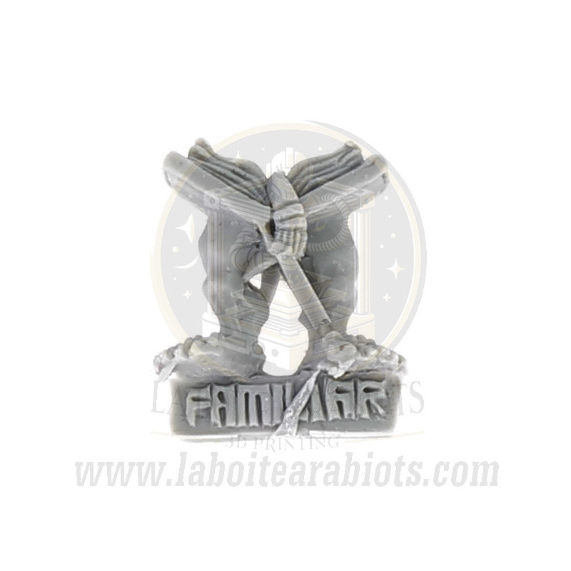 Familier du chaos -  