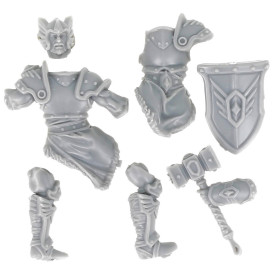 Dungeons & lasers -Personnages - Garde royal 