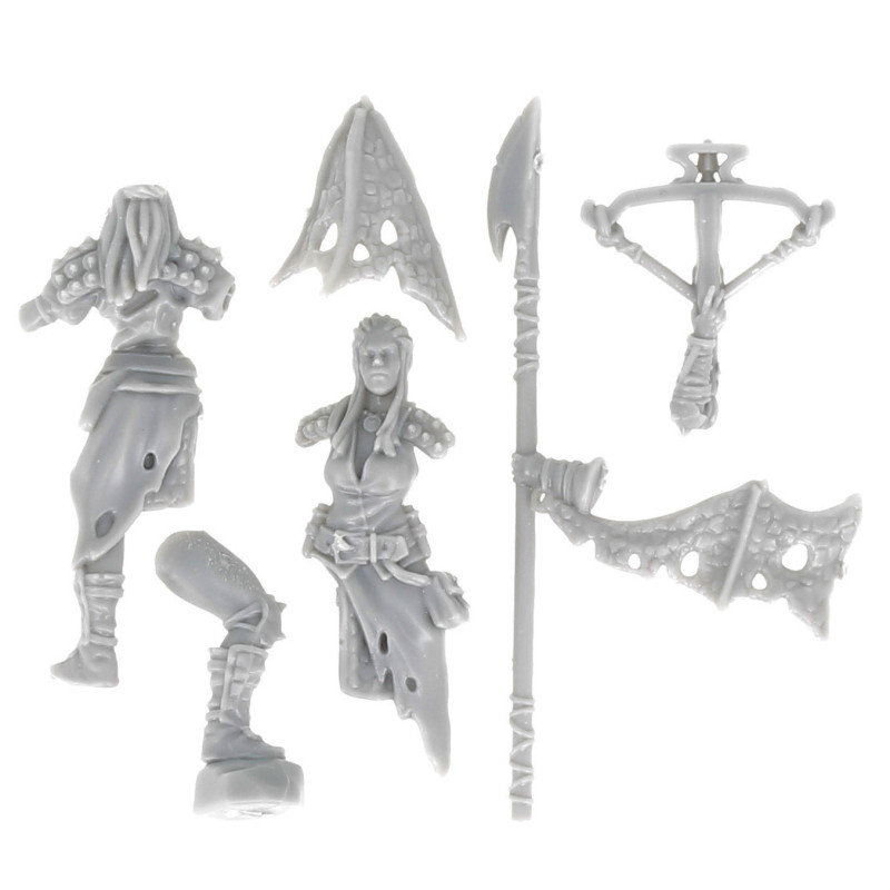 Dungeons & lasers -Personnages - Chesseresse de dragon 