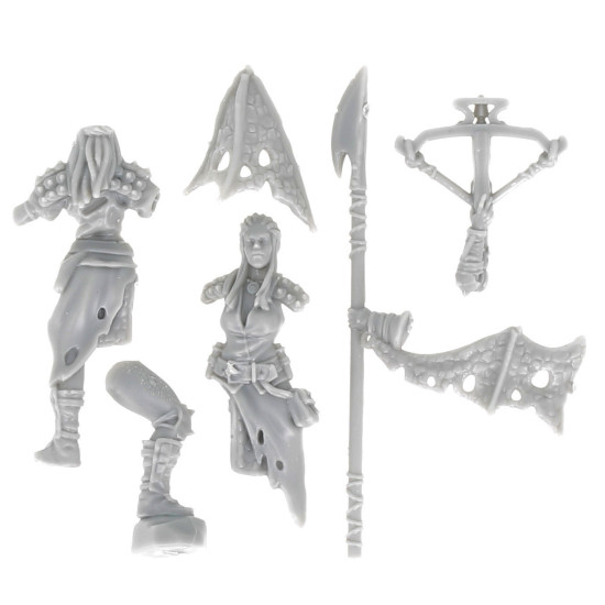 Dungeons & lasers -Personnages - Chesseresse de dragon 