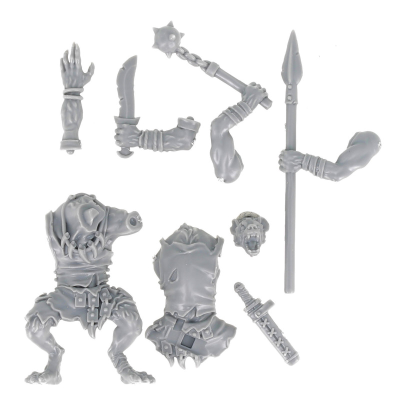 Dungeons & lasers -Personnages - Gnoll 2 