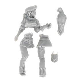 Dungeons & lasers -Personnages - Fauconnier 