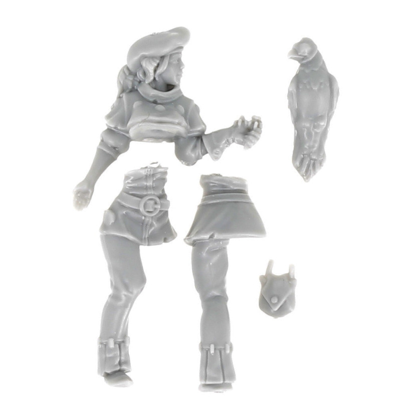 Dungeons & lasers -Personnages - Fauconnier 
