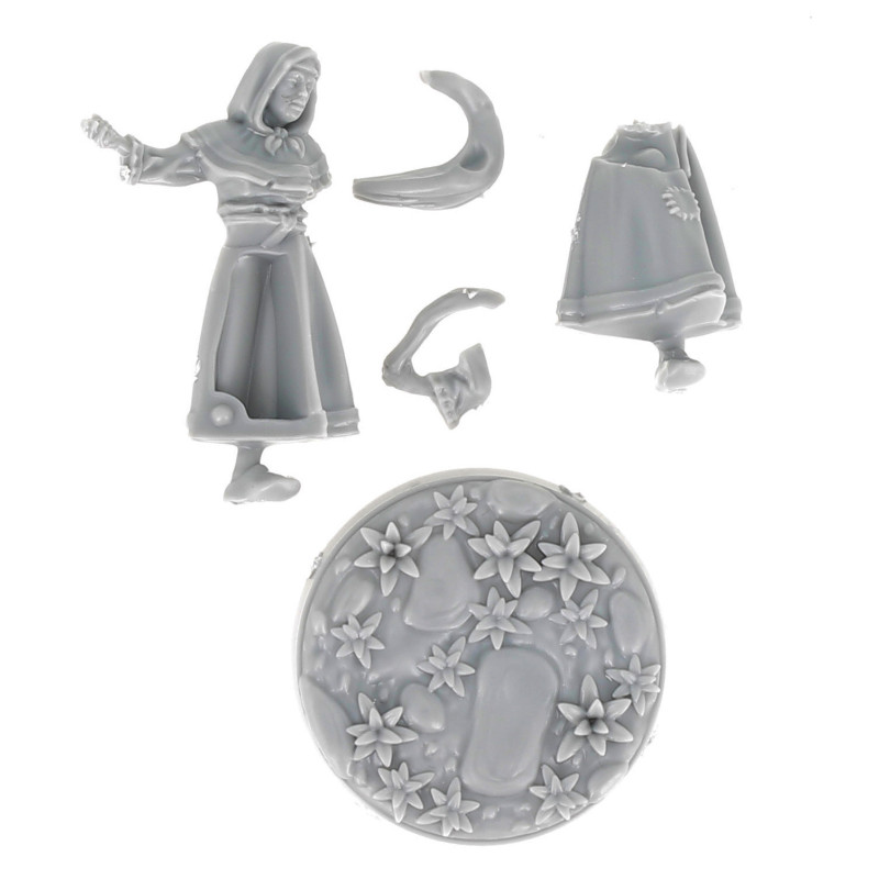 Dungeons & lasers -Figurine - 