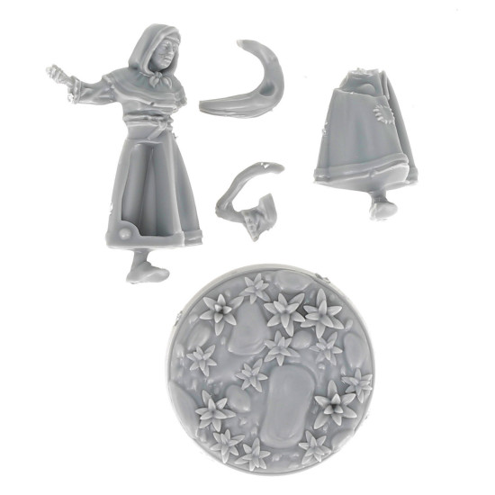 Dungeons & lasers -Figurine - 