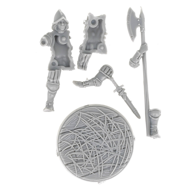 Dungeons & lasers -Figurine - 