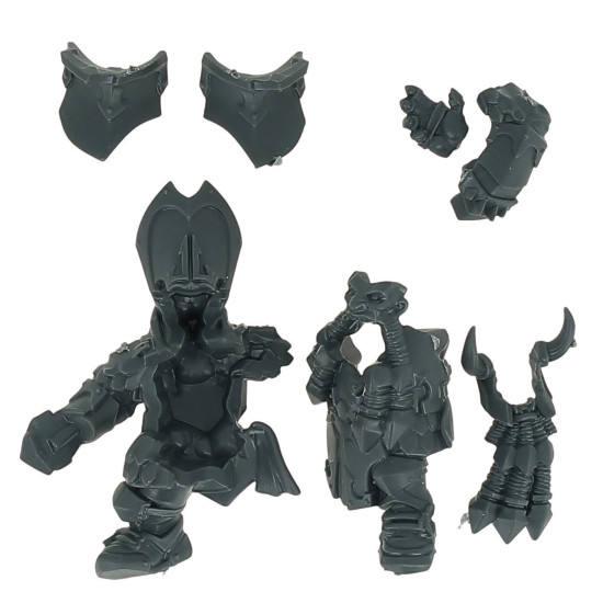  Blood Bowl - Nains du Chaos - Joueur  1 