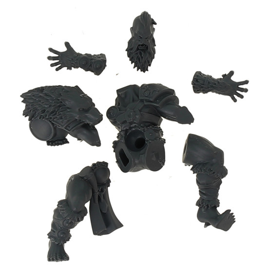  Blood Bowl - Norsca Rampagers - Pièce  7 
