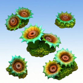 Fantastic Plants & Rocks – Acid Venus Plants 