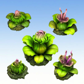 Fantastic Plants & Rocks – Jungle Canivorous Plants 