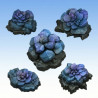 Fantastic Plants & Rocks – Mineral Flowers 